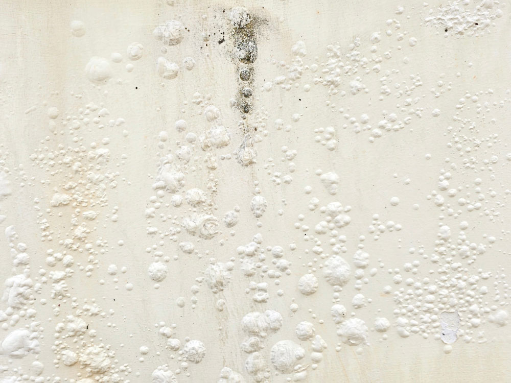 rising damp treatment in liverpool